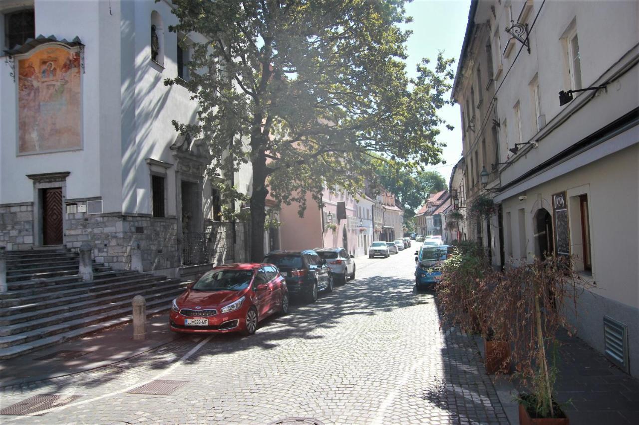 Pink House Studio Ljubljana Exterior photo